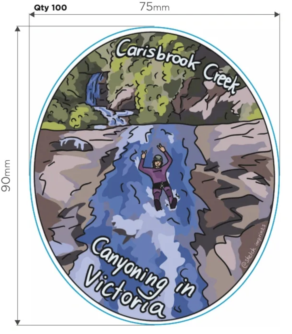Carisbrook Slide Sticker